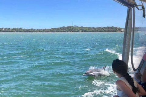 Mandurah Dolphin Island Adventure - Accommodation Coffs Harbour 9