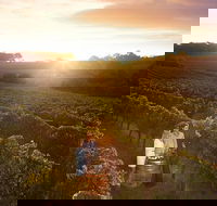 Leeuwin Estate Food and Wine Experience - Accommodation Coffs Harbour