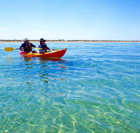 Turtle Tour - Ningaloo Reef Half Day Sea Kayak and Snorkel Tour - Accommodation Coffs Harbour