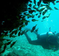 Scuba Dive Ningaloo Reef - Accommodation Coffs Harbour
