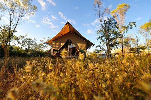 APT Kimberley Wilderness Adventures Purnululu (Bungle Bungle) 4WD Experience - Accommodation Coffs Harbour 10