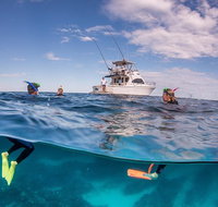 Exclusive Ningaloo Adventure Charter from Exmouth - Accommodation Coffs Harbour
