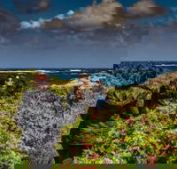 Guided Walks on the Cape to Cape - Wilyabrup Cliffs - Accommodation Coffs Harbour