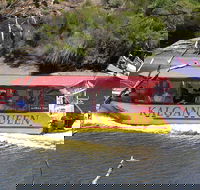 Kalgan Queen Scenic Cruises a four hour sheltered water wildlife tour daily fun. - Accommodation Coffs Harbour