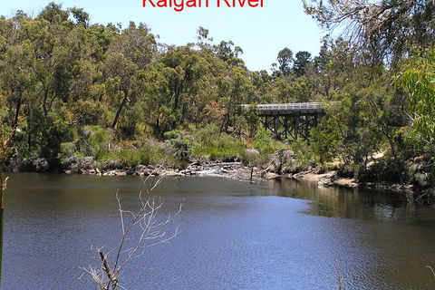 Kalgan Queen Scenic Cruises A Four Hour Sheltered Water Wildlife Tour Daily Fun. - Accommodation Coffs Harbour 3