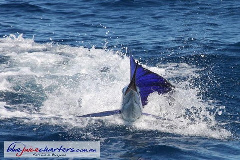 Montebello Island Fishing Charters - Accommodation Coffs Harbour 6