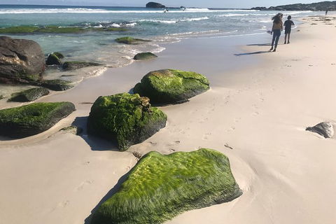 Cape To Cape Track Hike And Winery Tour - Accommodation Coffs Harbour 7