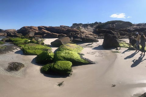 Cape To Cape Track Hike And Winery Tour - Accommodation Coffs Harbour 11