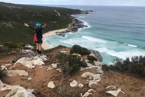Cape To Cape Track Hike And Winery Tour - Accommodation Coffs Harbour 6