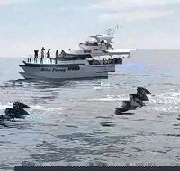 Busselton Whale Watching Eco Tour - Accommodation Coffs Harbour