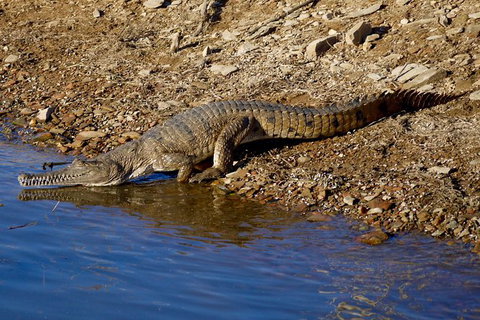 Lake Argyle Morning Cruise - Accommodation Coffs Harbour 7
