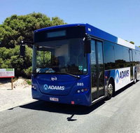 Rottnest Island Bayseeker Day Trip from Perth with Transfer - Accommodation Coffs Harbour