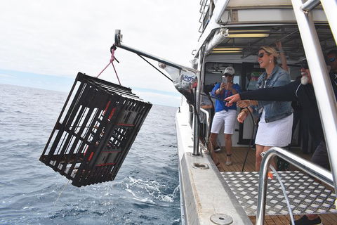 Rottnest Island Wild Seafood Package From Perth With Transfer - Accommodation Coffs Harbour 0
