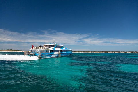 Rottnest Island Wild Seafood Package From Perth With Transfer - Accommodation Coffs Harbour 1