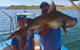 Lake Argyle Fishing Charter - thumb 1