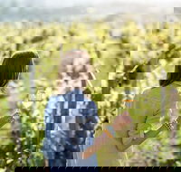 5 Hours Wineries Coffee Tasting Forest  Lunch at the Berry Farm - Accommodation Coffs Harbour