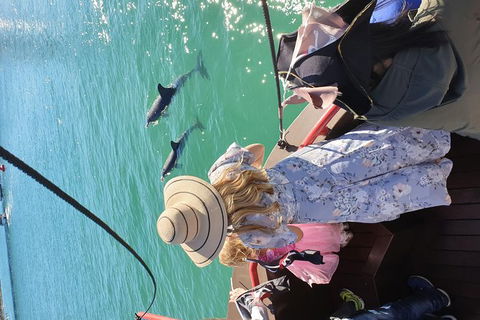 Pirate Ship Lunch Cruise (1.5hr) - Accommodation Coffs Harbour 7