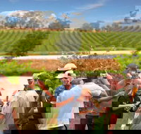 Yarra Valley Wine and Winery Tour from Melbourne