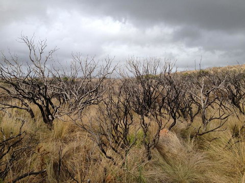 Private Tour: Great Ocean Road From Melbourne - Accommodation Coffs Harbour 5