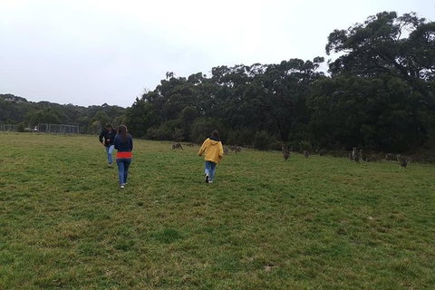 Private Tour: Great Ocean Road From Melbourne - Accommodation Coffs Harbour 17