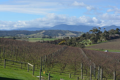 2-Day Yarra Valley Wine Tour With Luxury Vineyard Resort Stay - Accommodation Coffs Harbour 2