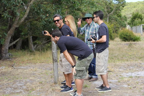 Small-Group Great Ocean Road Day Trip From Melbourne - Accommodation Coffs Harbour 10