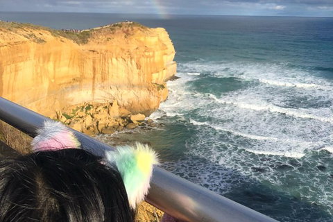 Great Ocean Road Private Tour - Accommodation Coffs Harbour 7