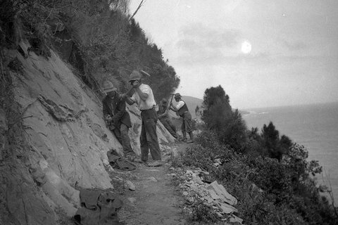 Great Ocean Road Private Tour - Accommodation Coffs Harbour 8