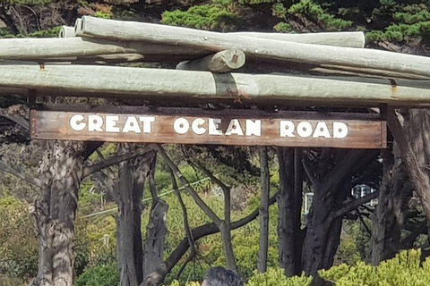 2 Day Great Ocean Road Tour From Melbourne - Accommodation Coffs Harbour 24