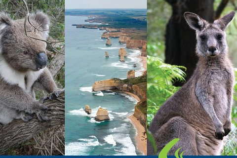 2 Day Great Ocean Road Tour From Melbourne - Accommodation Coffs Harbour 15