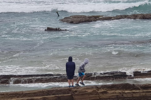 2 Day Great Ocean Road Tour From Melbourne - Accommodation Coffs Harbour 4