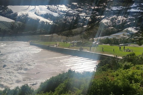 2 Day Great Ocean Road Tour From Melbourne - Accommodation Coffs Harbour 20