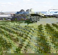 Puffing Billy Train and Yarra Valley Food and Wine Day Trip from Melbourne