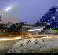 Small-Group Phillip Island Day Trip from Melbourne with Penguin Plus Viewing