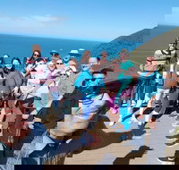 Great Ocean Road Small Group Tour