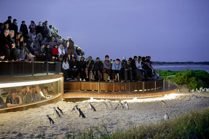 Phillip Island VIC Accommodation Coffs Harbour