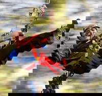 12 Apostles and Otway Fly Zipline Day Trip from Melbourne