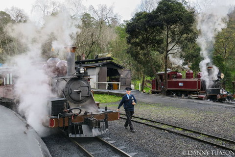 Puffing Billy Train With Optional Penguin Parade Or Melbourne City Tour - Accommodation Coffs Harbour 3