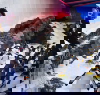 Penguin Passport at SEA LIFE Melbourne Aquarium