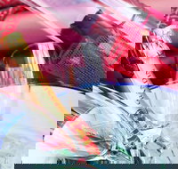 Melbourne Horse Drawn Carriage Deluxe Romantic Tour