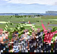 Alternative Yarra Valley Wine Tasting Tour Departing from Melbourne