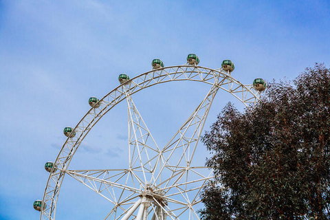 City Sightseeing Melbourne Hop-On Hop-Off Bus Tour - Accommodation Coffs Harbour 8