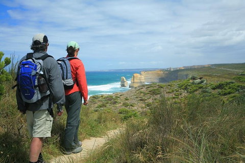 Great Walks Of Australia:4-Day Twelve Apostles Signature Walk OR 3 Day Long Wknd - Accommodation Coffs Harbour 2