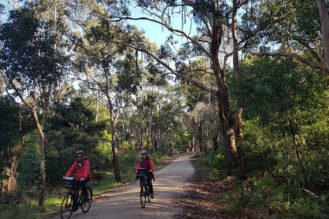 Great Southern Getaway Cycle Tour - Accommodation Coffs Harbour 8