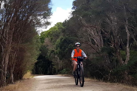 Great Southern Getaway Cycle Tour - Accommodation Coffs Harbour 4