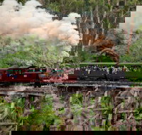 Melbourne Combo Great Ocean Road Puffing Billy Moonlit Sanctuary  Penguins