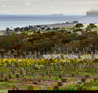 Bellarine Peninsula Small Group Wine Tour with 2 Course Lunch and Morning Tea