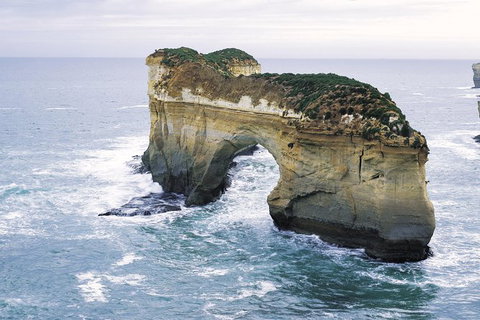 Full-Day Great Ocean Road Tour From Melbourne - Accommodation Coffs Harbour 4