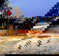 Small-Group Phillip Island Day Trip from Melbourne