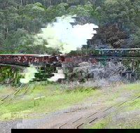 Puffing Billy Dandenong Ranges  Brighton Bathing Boxes  Experience